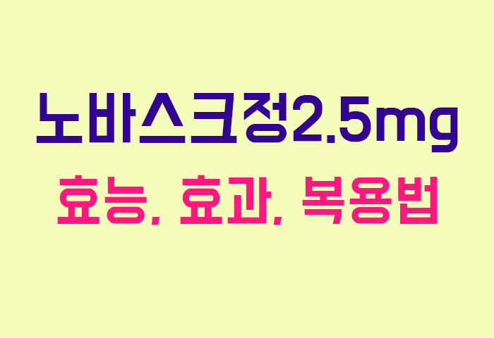 노바스크정2.5mg