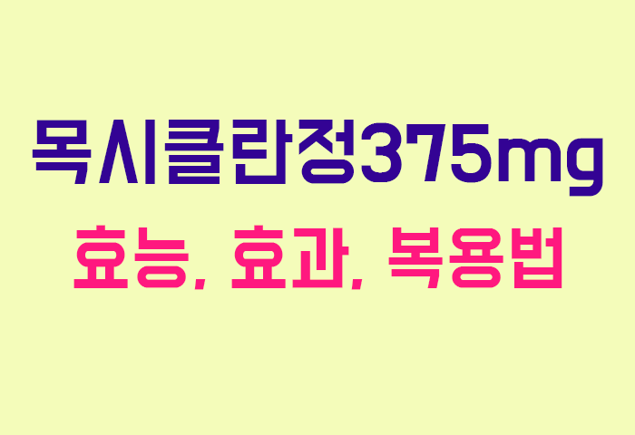 목시클란정375mg