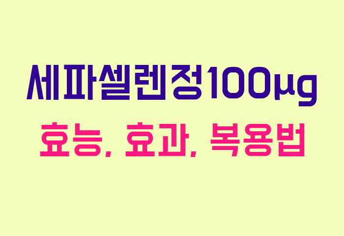 세파셀렌정100μg