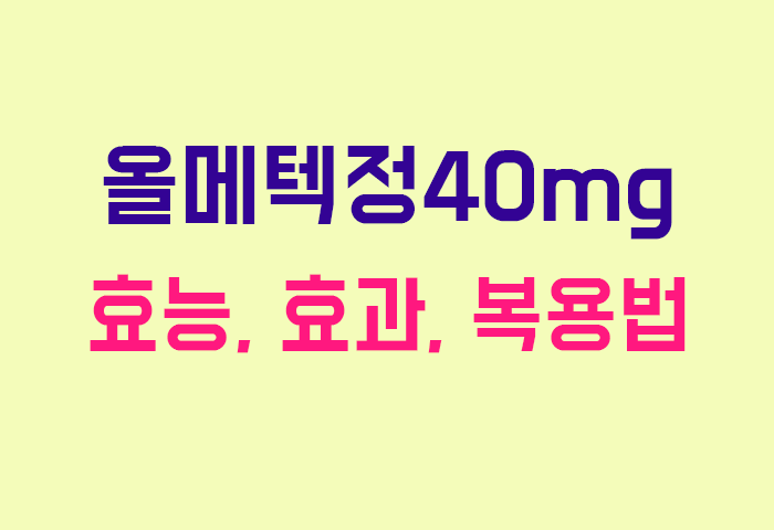 올메텍정40mg