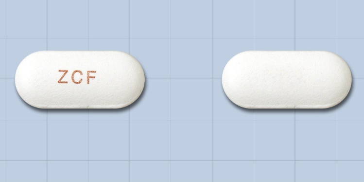 진세프정 약