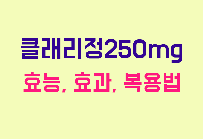 클래리정250mg