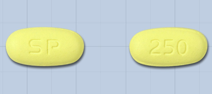 클로신정250mg 약