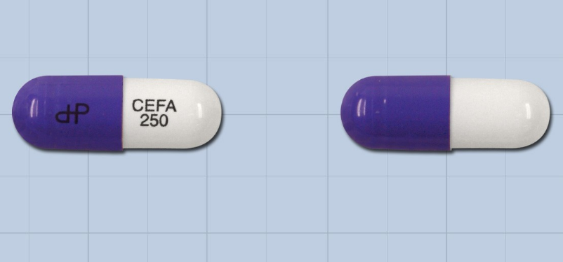 대화세파클러캡슐 약