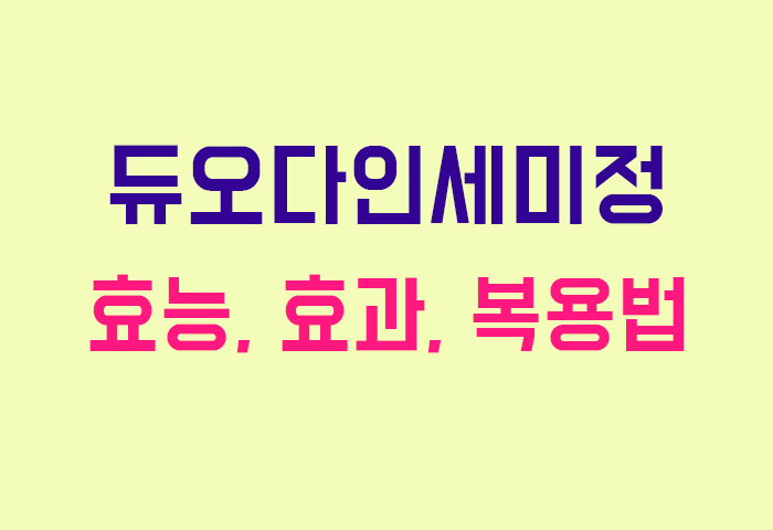 듀오다인세미정