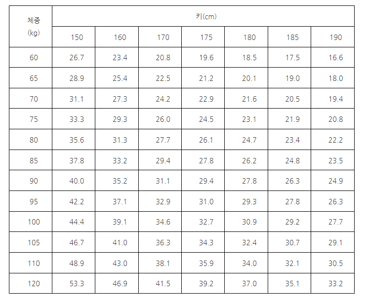 디에트정 효능효과