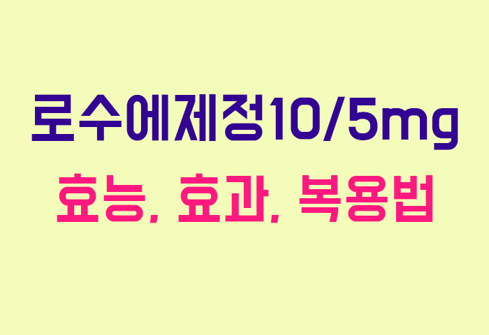 로수에제정10/5mg