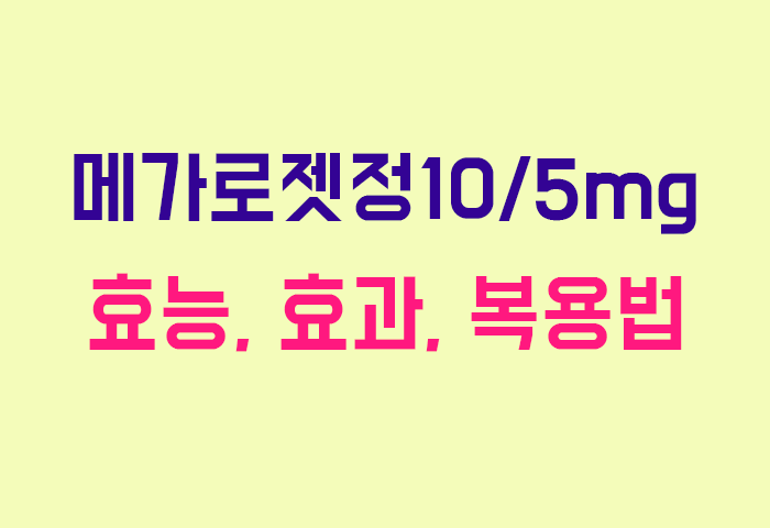 메가로젯정10/5mg