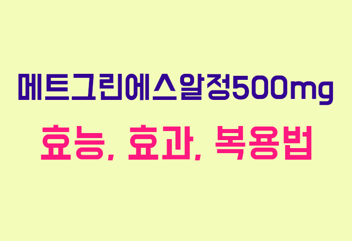 메트그린에스알정500mg