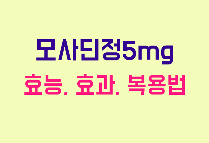모사딘정5mg