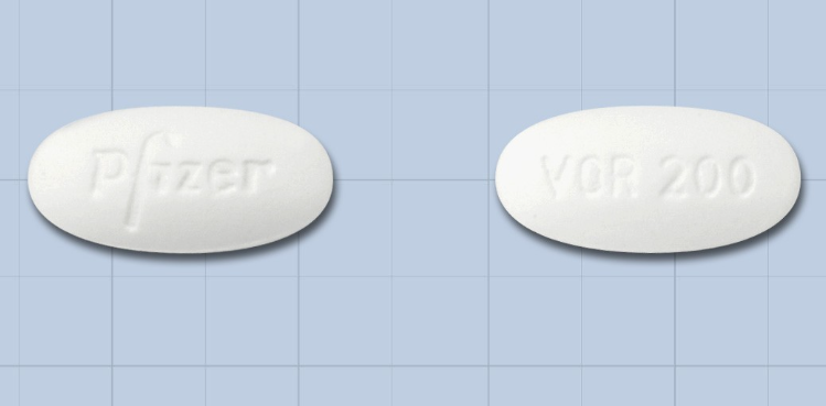 브이펜드정200mg 약