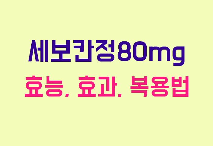 세보칸정80mg