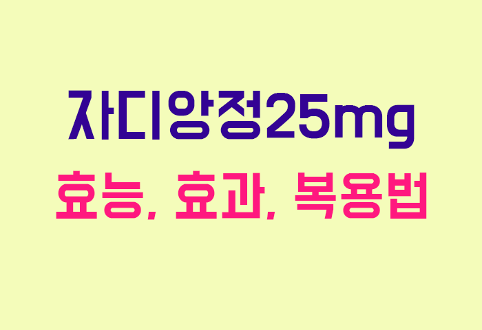 자디앙정25mg