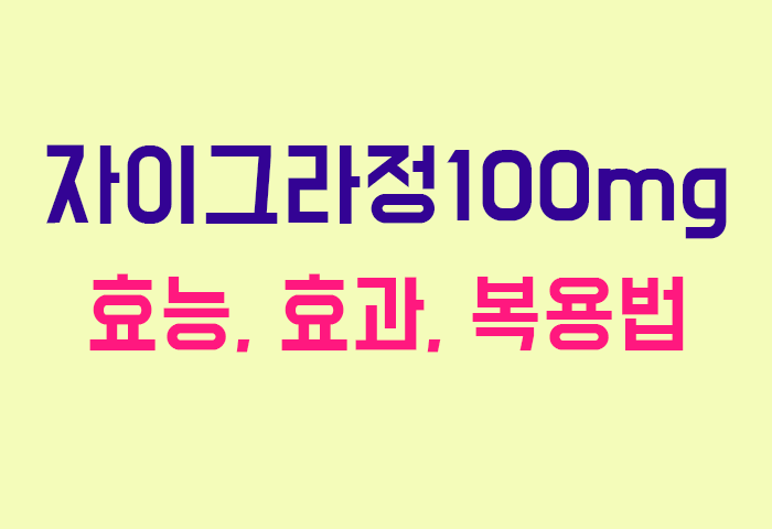 자이그라정100mg