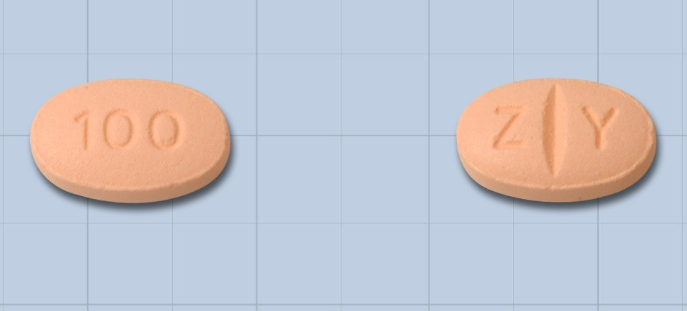 자이데나정100mg 약