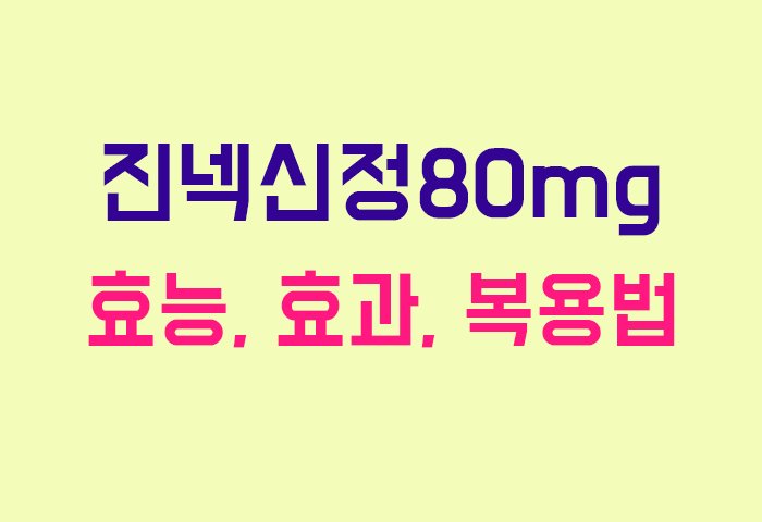 진넥신정80mg