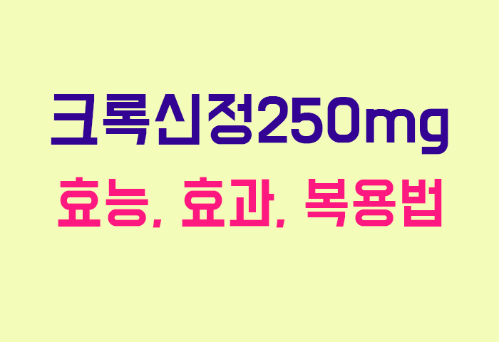 크록신정250mg