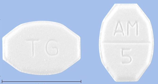 태극암로디핀정 약