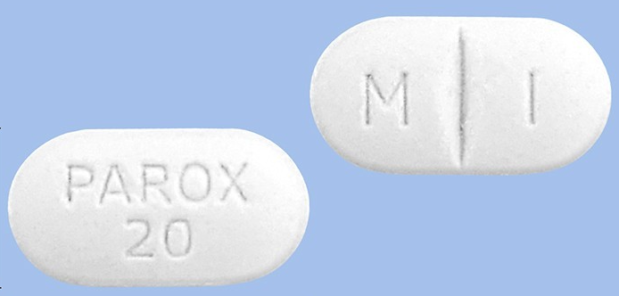 파록스정20mg 약