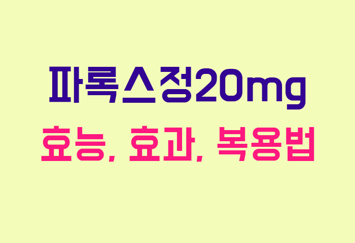 파록스정20mg