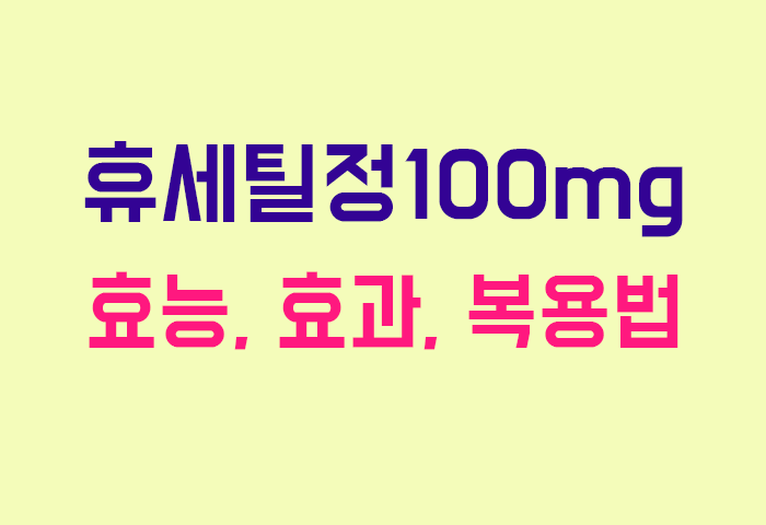 휴세틸정100mg