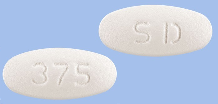 라모크린정375mg 약