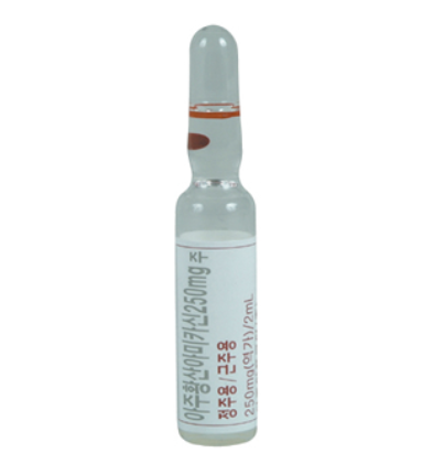 아주아미카신황산염주사250mg 약