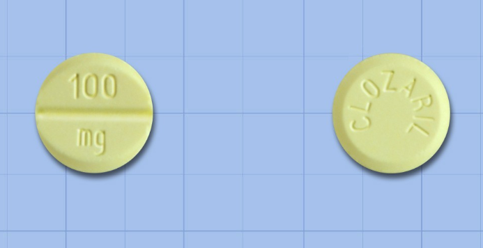 클로자릴정100mg 약