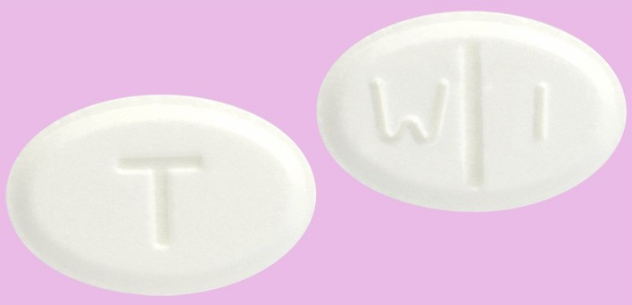 트리람정0.125mg 약