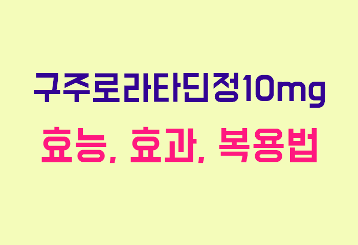 구주로라타딘정10mg