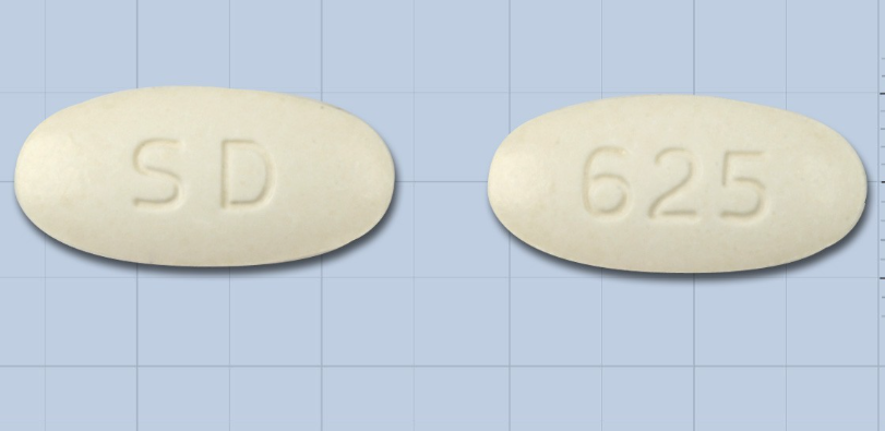 라모크린정625mg 약