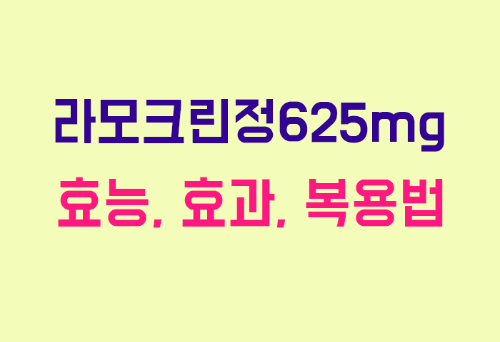 라모크린정625mg