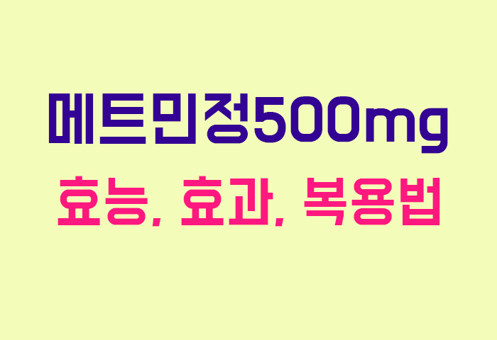 메트민정500mg