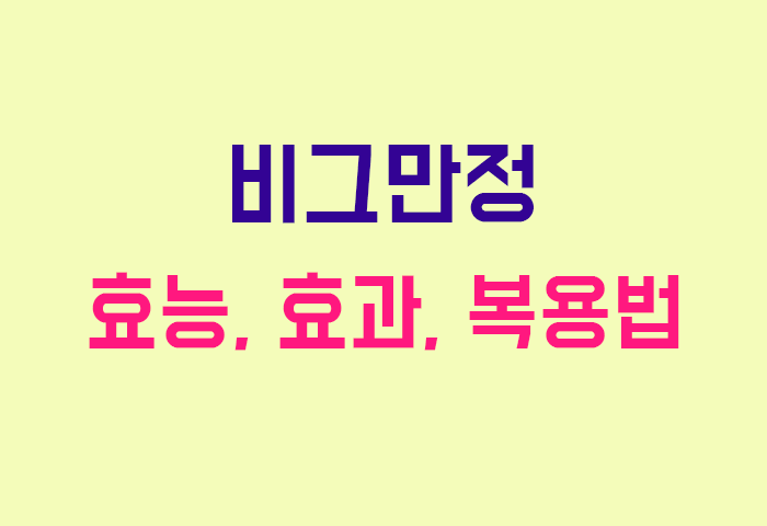 비그만정