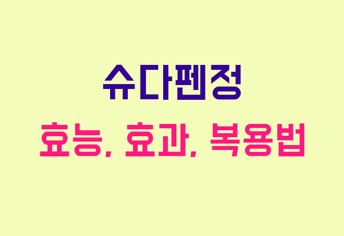 슈다펜정