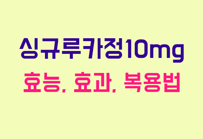 싱규루카정10mg