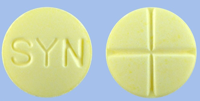 씬지로이드정0.1mg 약