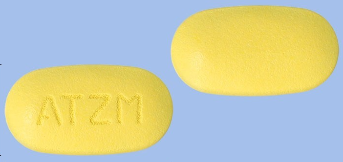 액티진맥스정 약