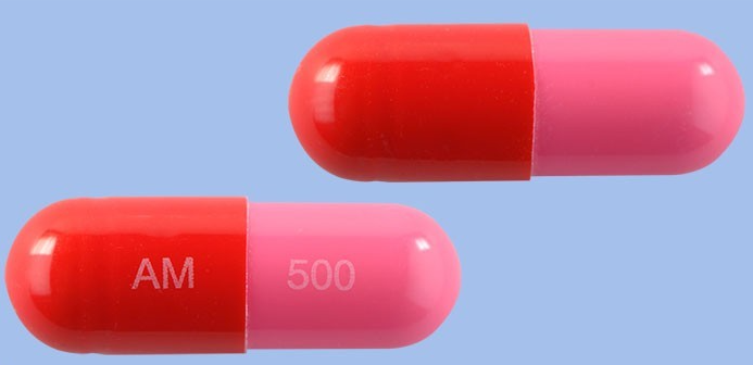 에이목스캡슐500mg 약