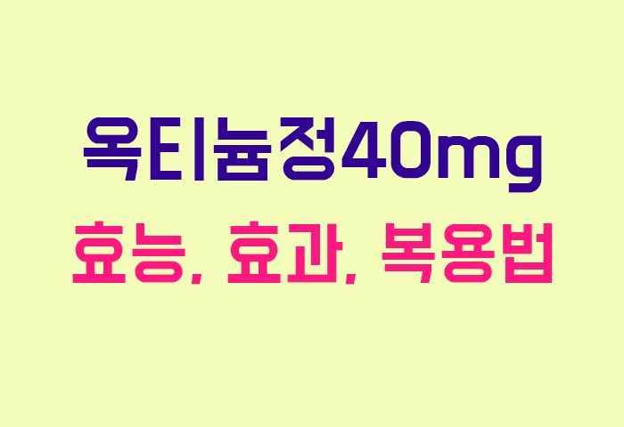 옥티늄정40mg