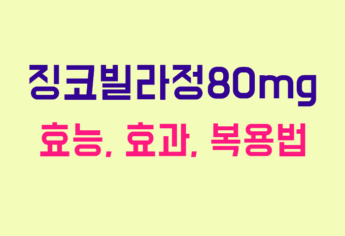 징코빌라정80mg