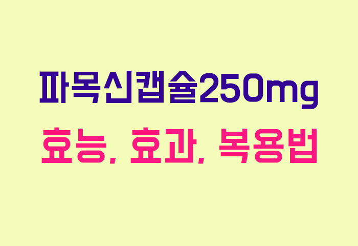 파목신캡슐250mg