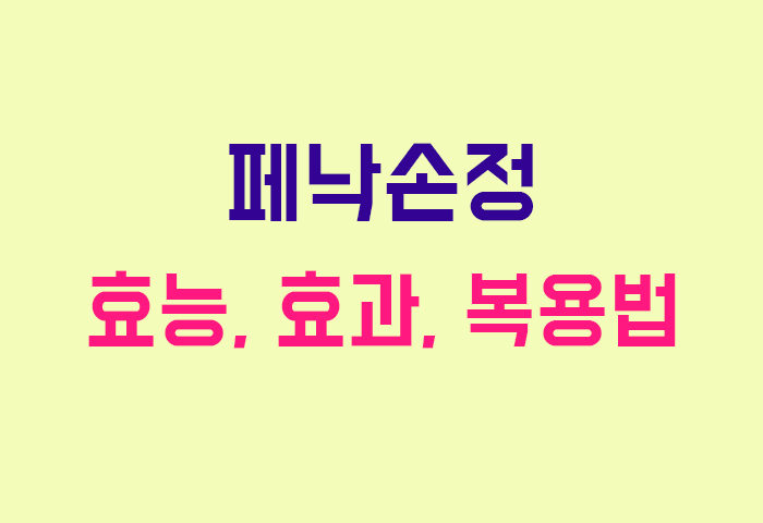 페낙손정