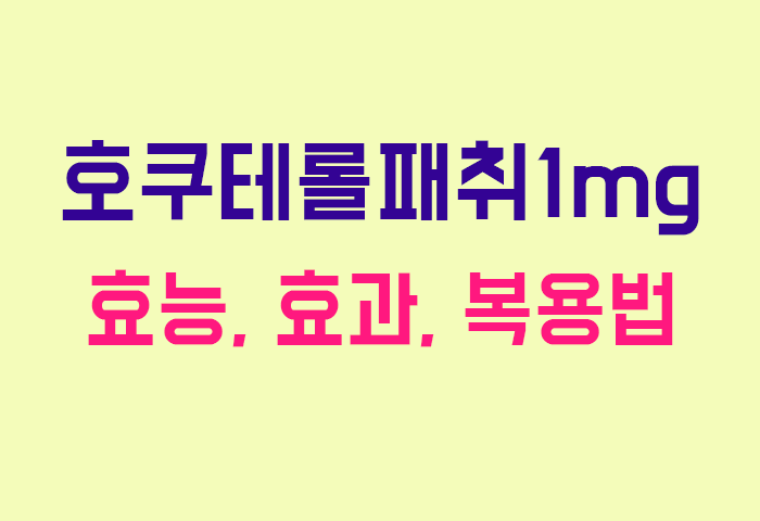 호쿠테롤패취1mg