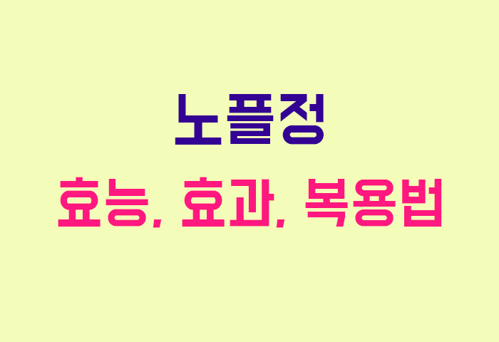 노플정