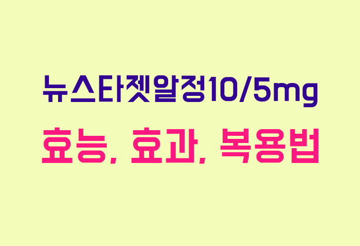 뉴스타젯알정10/5mg