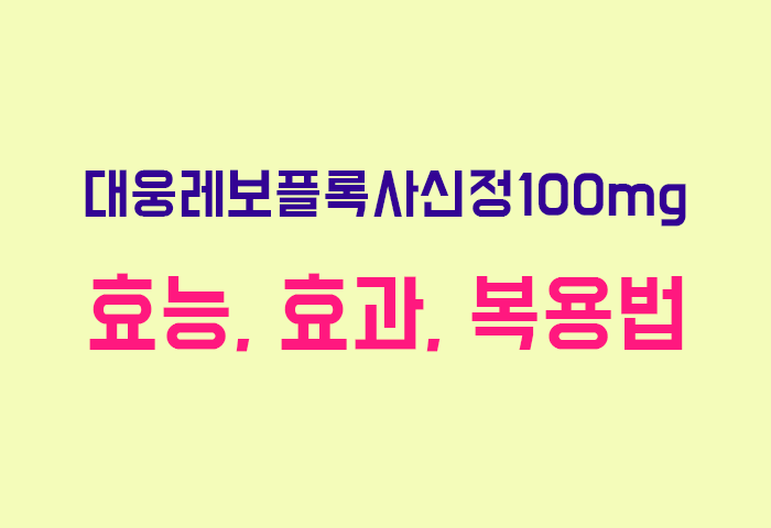 대웅레보플록사신정100mg