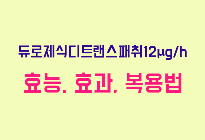 듀로제식디트랜스패취12μg/h