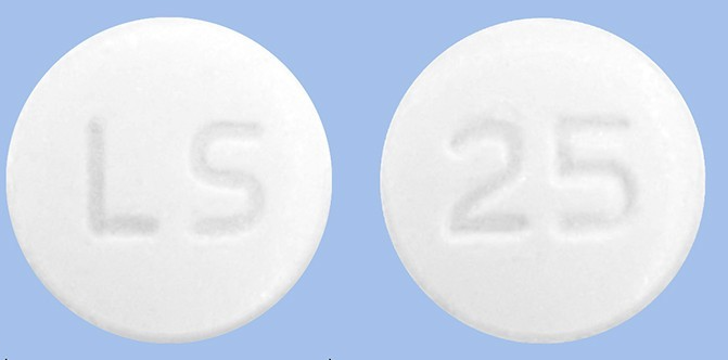 레보론정25mg 약