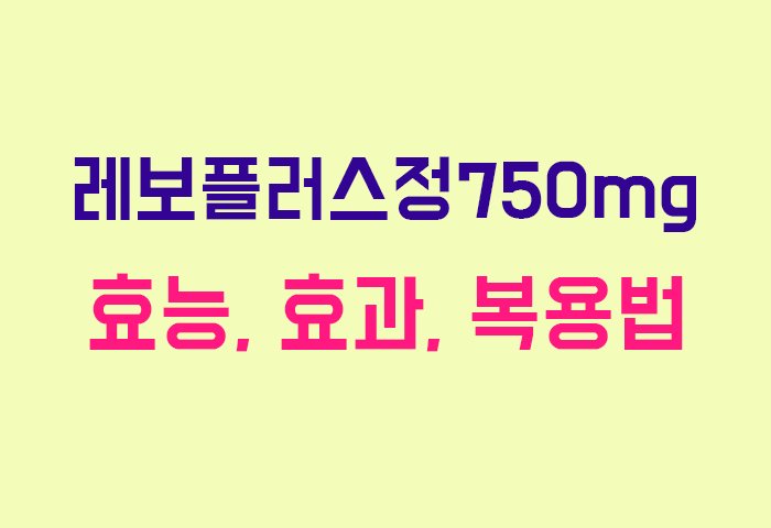 레보플러스정750mg